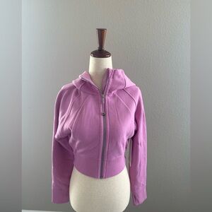 NWT Lululemon Athletica Pink Scuba Full Zip Cropped Hoodie
